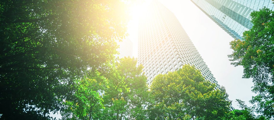 Business towers and Green leaves